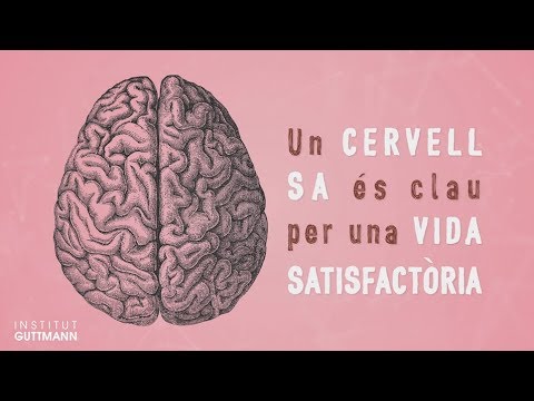 Vídeo: Per què la resiliència és un component d'una bona salut mental?