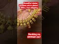 beautiful chokar necklace micro gold plated price only 399 free shipping. .#chokar #micro #gold