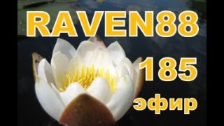 RAVEN 88 ЭФИР 185