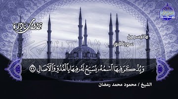 تلاوة إبداعية تخطت كل الحواجز | ما تيسر من سورة النور | الشيخ : محمود محمد رمضان