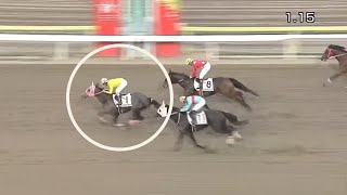 A horse named 'Sumomomomomomomomo' just won a race,that makes race commentators cry