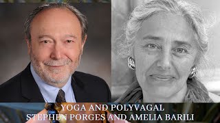 The Power of Your Nervous System for Healthy Relationships and Self-Healing. Stephen Porges/ Barili