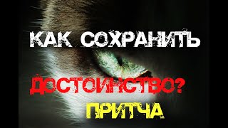 Притча Лев и шакал. Притчи в картинках.