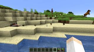 Item Despawn Bug 19W41A