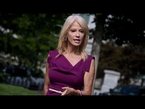 Download Trump's adviser Kellyanne Conway to leave White House