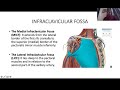 Below clavicle blocks anatomy and sonoanatomy