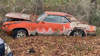 Old muscle cars, and trucks in an abandoned junk yard are getting saved from the crusher.