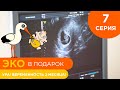 Ребенок для Марины - 7 серия - Ура! Беременность 2 месяца! | ЭКО в подарок с Ковалевской Ларисой