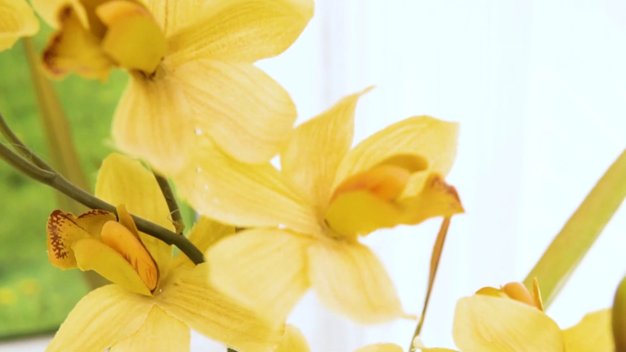 Décor Centre - Regal Crest Homes