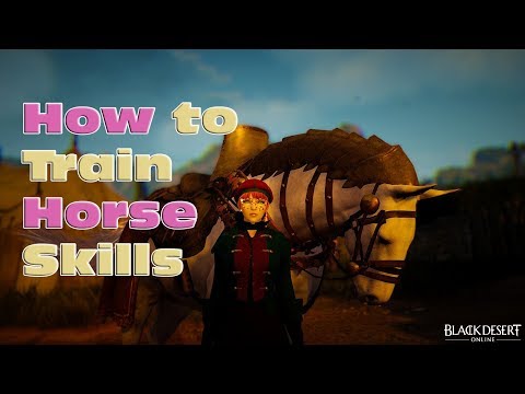 BDO – How To Train Horse Skills + Skill Coupons + Faster Training / Skipping Mini-game