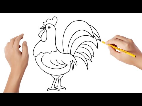 How to draw a rooster