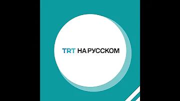 Сотни мертвых северных оленей нашли на побережье Камчатки