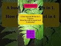 🚌 90 km in 1.5 hours – How Far in 45 Minutes? #shorts #math #brainteaser #iqvistax #riddle