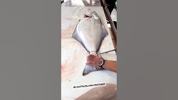HOW TO FILLET HALIBUT - Awesome 🎣 #halibut #fillet #shorts