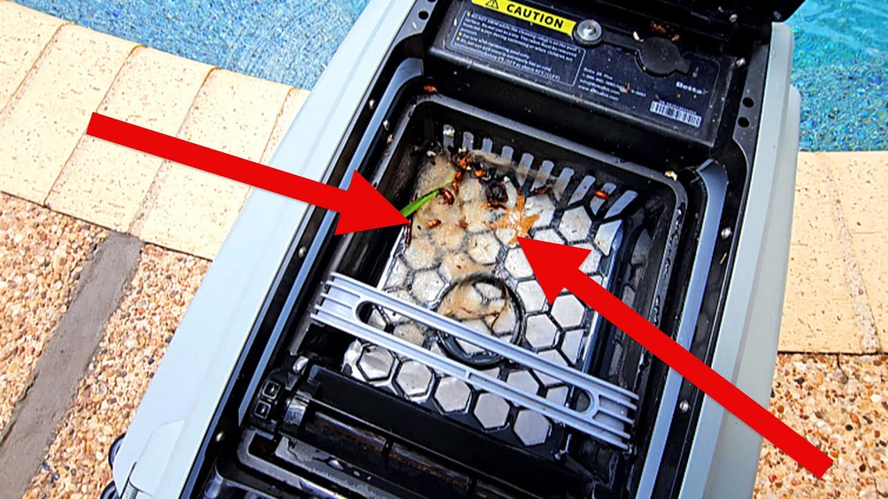 How to Get Leaves and Bugs Out of Your Pool Hands Free