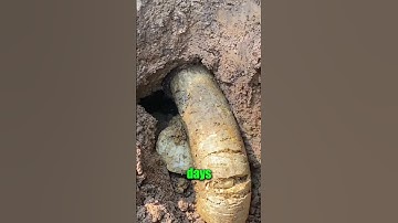 That was lots of WIPES ! 🖐🤑