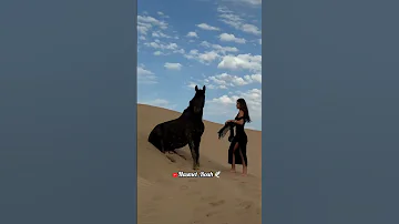 والمهرة بتعرف خيالها Shorts الاخرس 