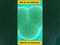 what are stem cells?