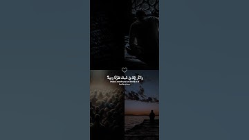 اكتب شيء تؤجر عليه 😴💚 قران كريم | ياسر الدوسري