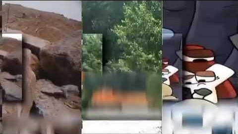 225 Shuric scans with are Slides