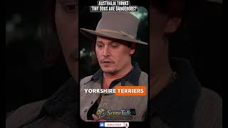 Johnny Depp ROASTED Australia Over His Tiny Dogs #JohnnyDepp #PiratesOfTheCaribbean #shorts