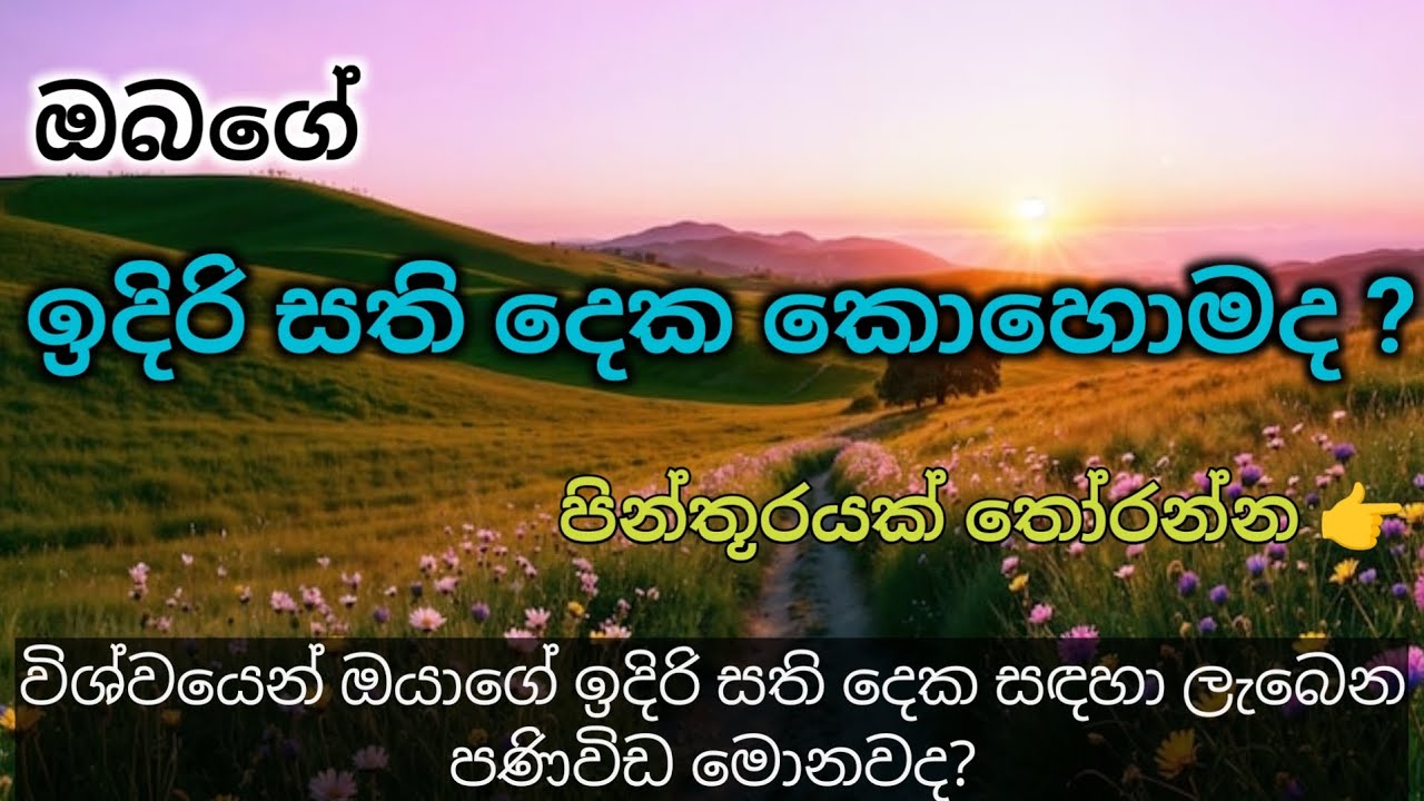 ඉදිරි සති දෙක තුළ ඔබට සිදුවන විශේෂ පෙරළිය කුමක්ද? 🔮 | Pick a Card  