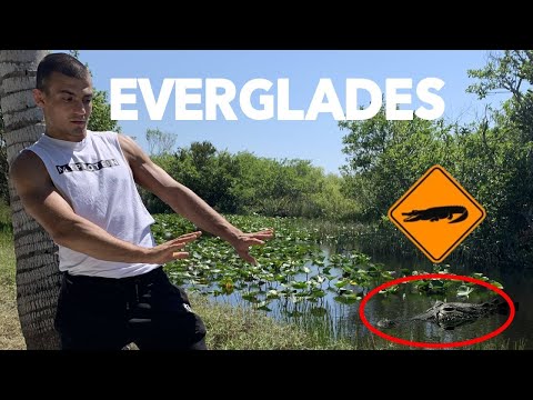 Videó: A legnépszerűbb tevékenységek az Everglades Nemzeti Parkban