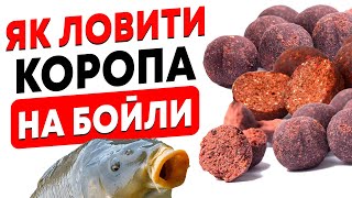 Все про БОЙЛИ! Карпфішинг для ПОЧАТКІВЦІВ! Рибалка 2023!