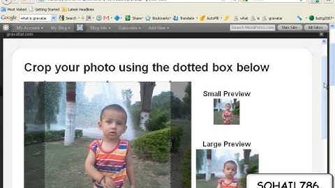Wordpress Complete Video Tutorials in Urdu/Hindi 7