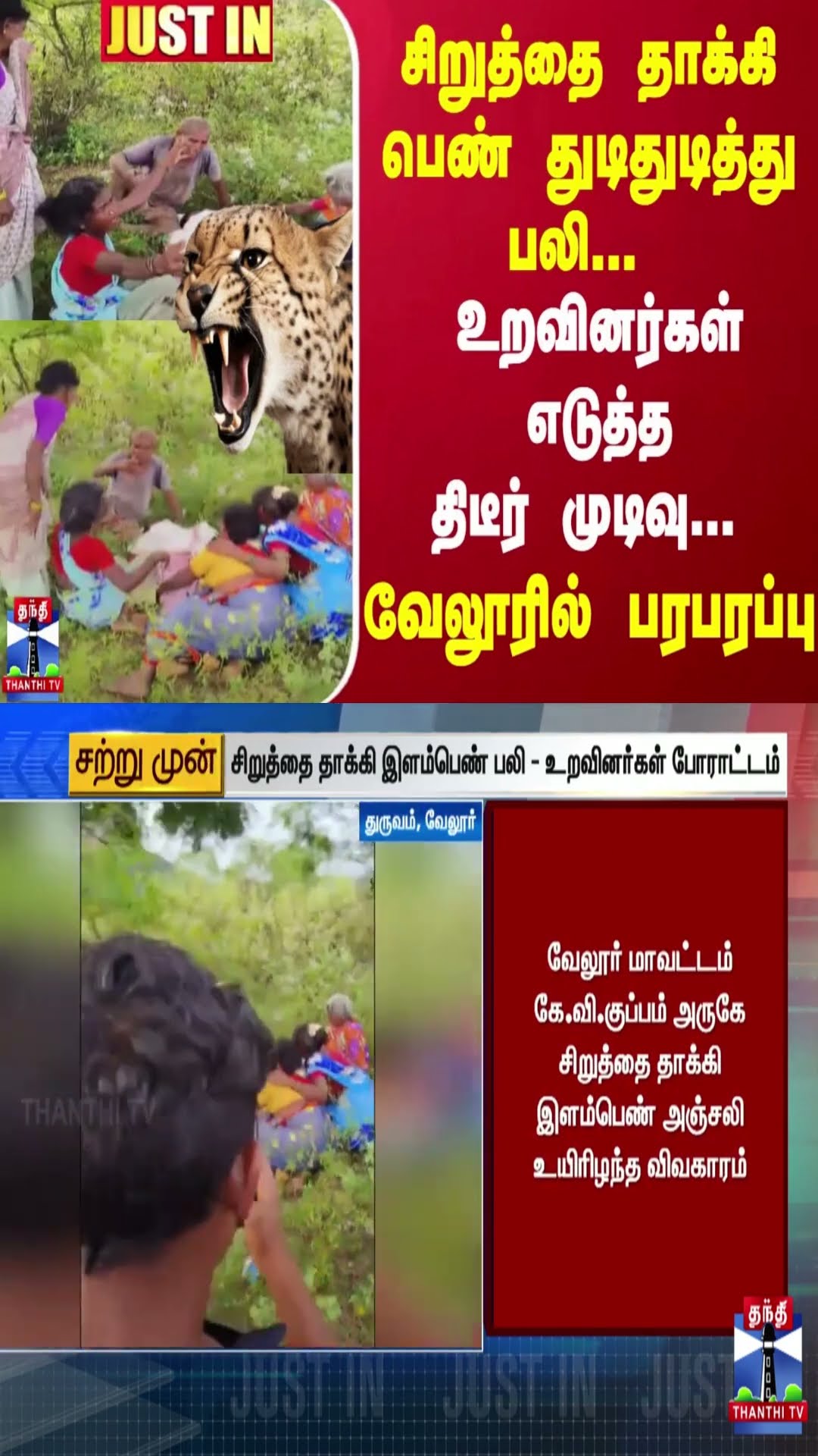 #JUSTIN : சிறுத்தை தாக்கி பெண் துடிதுடித்து பலி-உறவினர்கள் எடுத்த திடீர் முடிவு...வேலூரில் பரபரப்பு