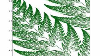 Barnsley Fern