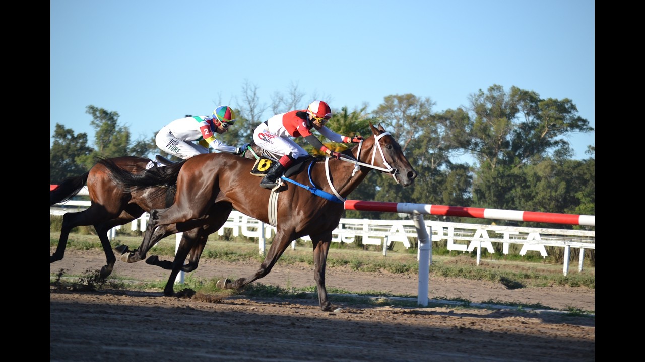 Clásico Fortunato Novara (G3) 2026 - Norte (Leofric)