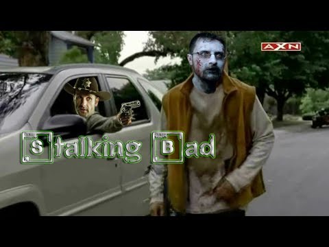 Stalking Bad - Reazioni CollaterAnali