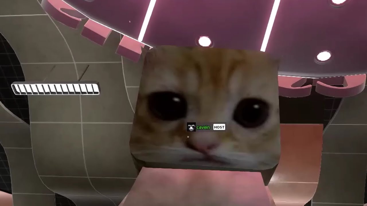 Average Experience in Tower Unite