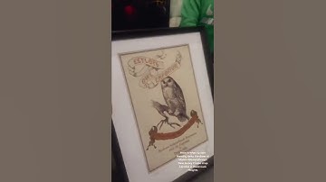 Here is what custom framing looks like done at ModernMemoryDesign.com New Jersey Frame shop Located