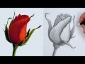 How to Draw FLOWERS using Basic SHAPES