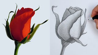 How To Draw Flowers Using Basic Shapes