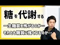 【糖質制限必要なし】糖質に強い痩せボディの作り方