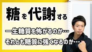 【糖質制限必要なし】糖質に強い痩せボディの作り方