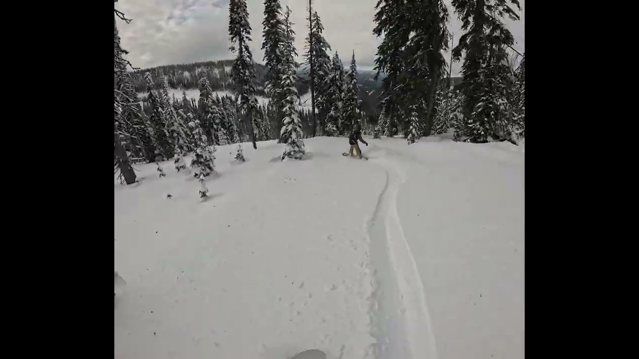 Ian and Lachlan Feb 15th 2024 at big red cats