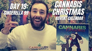Cannabis Christmas Advent Calendar Unboxing - Day 19: Cinderella 99