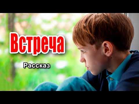 Рассказ встреча. Рассказ встреча с друзьями. Рассказ встреча с друзьями. Друзья и встречи. День встречи со старыми друзьями.