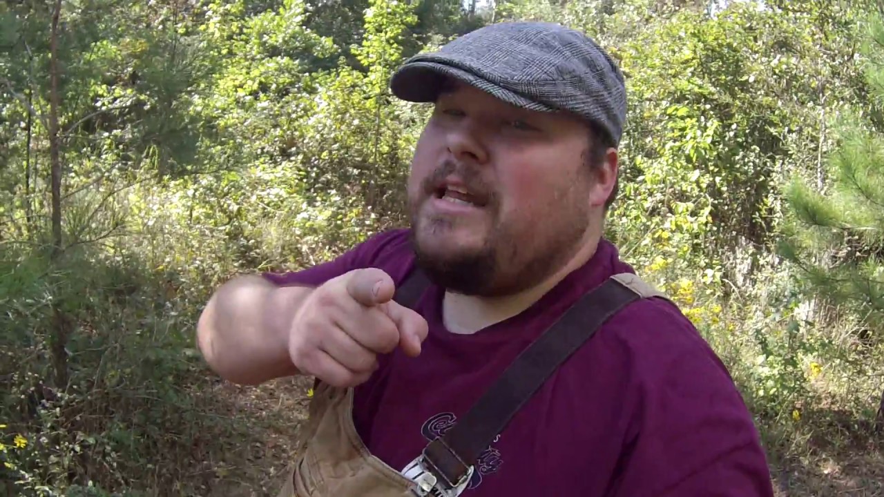 land clearing with goats YouTube