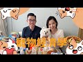 【講生活 講收入】寵物經濟-拯救孤獨的生意
