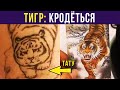 Приколы. ОПАСНЫЙ ТИГР))) | Мемозг #356