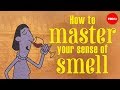 How to master your sense of smell - Alexandra Horowitz