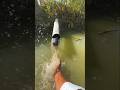 jbl##bass taste##for trending ##viral #shorts ##for 🔥🔥