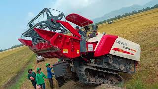 máy cắt lúa trung quốc đời mới mua 590tr cắt lúa quá sạch tập6 #maibangtv
