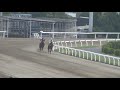 20180406川崎競馬2歳能力試験
