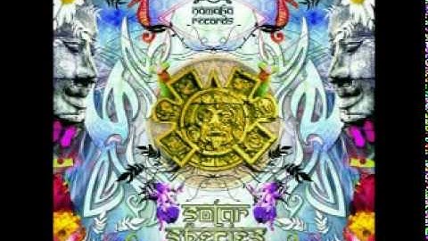 Psilocybe Project Vs. D-Maniac - It Will Not Stop